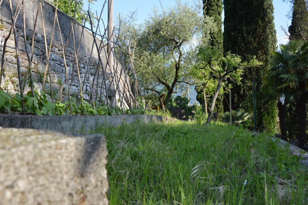 Arco Climbing Villa Dış mekan fotoğraf