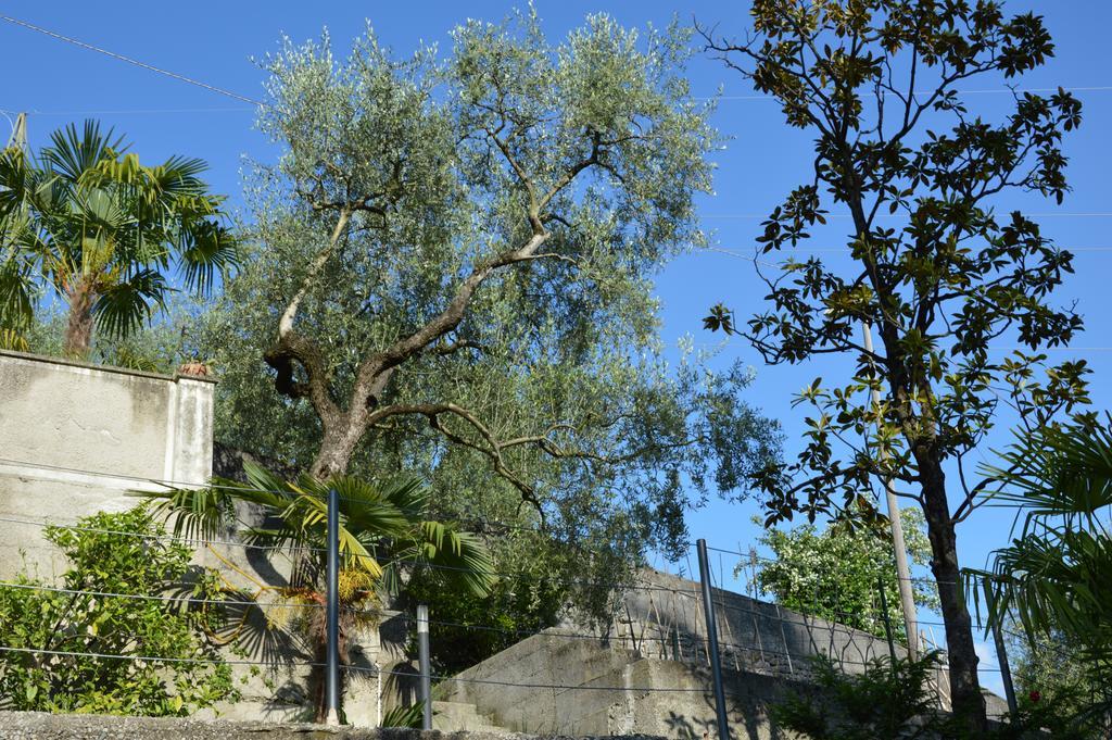 Arco Climbing Villa Dış mekan fotoğraf