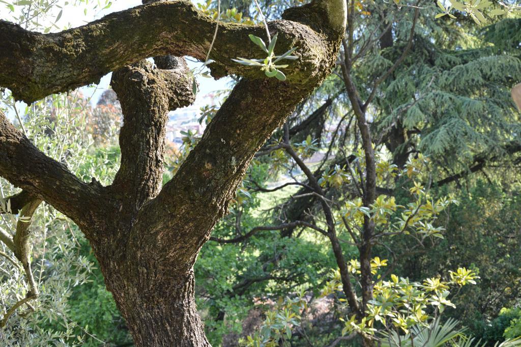 Arco Climbing Villa Dış mekan fotoğraf