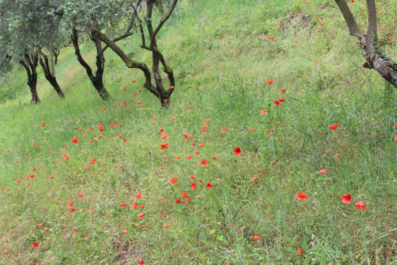 Arco Climbing Villa Dış mekan fotoğraf